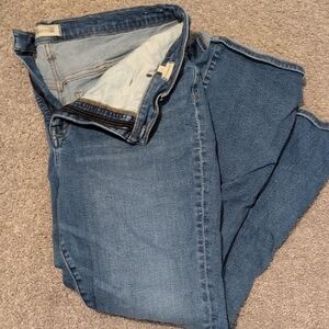 Madewell Blue Denim Jeans (TALL)